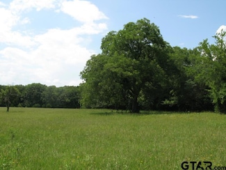 TBD County Rd 1111, Grand Saline, TX 75140