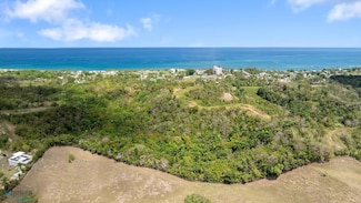 Guayabo Aguada Puerto Rico, Aguada, PR 00602