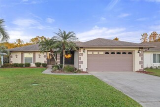 11641 Sandy Hill Dr, Orlando, FL 32821