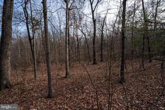 Lot C27 Oak Ln, Luray, VA 22835