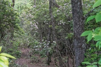 0 Rainbow Lake Dr Unit 22811348, Dillard, GA 30537