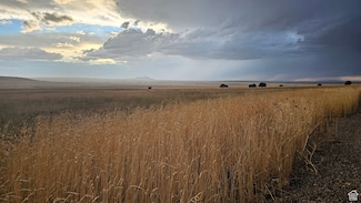 2835 N Cedar Mountain Rd, Fillmore, UT 84631