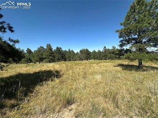 10385 Alamar Way, Black Forest, CO 80908