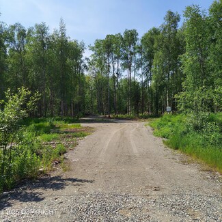 36534 Longbranch St, Susitna North, AK 99676