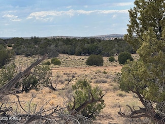 Lot 1096 Woodland Valley Ranch -- Unit 1096, Saint Johns, AZ 85936