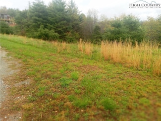 21 Fox Crest Overlook, Laurel Springs, NC 28644