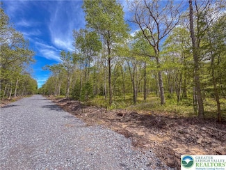 0 Cross Run Rd Unit Lot 567 757717, Penn Forest Township, PA 18229