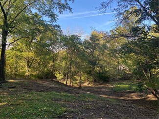 495 Mulberry St, Zionsville, IN 46077