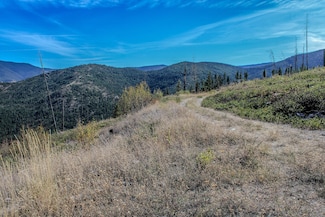 Nhn W Fork Combest Creek Rd, Plains, MT 59859