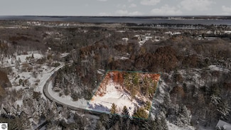 9394 E Hoxie Rd, Cedar, MI 49621