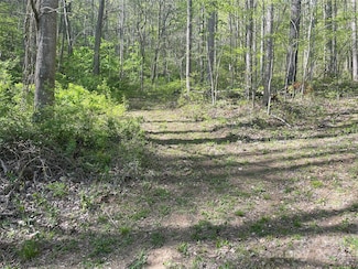 0 Martins Creek Rd, Barnardsville, NC 28709