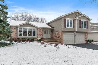 508 E Beech Dr, Schaumburg, IL 60193