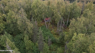 A1 E Kashwitna Lake Area, Willow, AK 99688