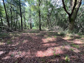 10 ac U S 84, Opp, AL 36467