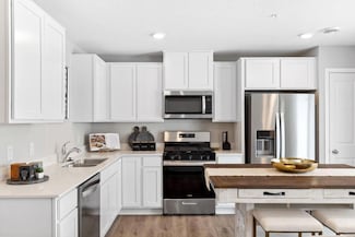 13659 Kaylemore Trail, Rosemount, MN 55068