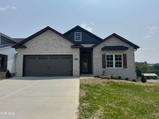 126 Dry Kiln Ct, Gray, TN 37615