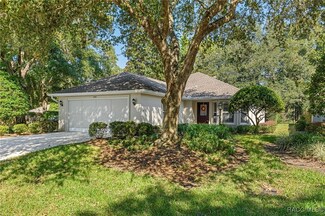 6487 W Torrington Ct, Crystal River, FL 34429