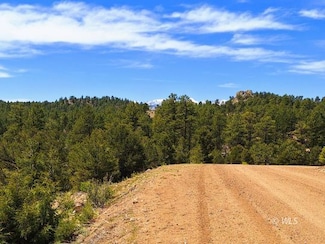 659 Coopers Canyon Rd, Westcliffe, CO 81252