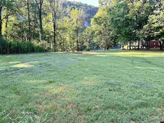 002-10680-600 Wheatstone Place, Cotter, AR 72626