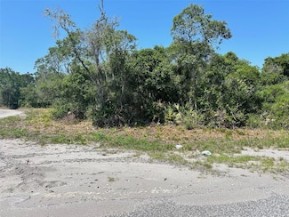 tbd Fisher Way, Ocklawaha, FL 32179