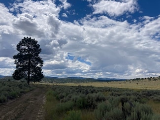 0 357 Unit 202404593, Lumberton, NM 87528