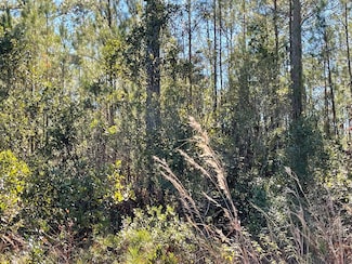 00 Landing Trail, Waynesville, GA 31566