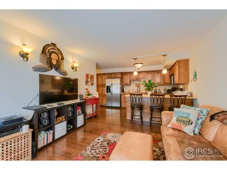 233 N Meldrum St Unit 3, Fort Collins, CO 80521