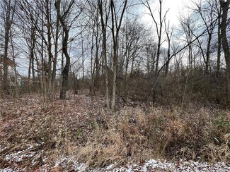 0 Niles Carver, Mineral Ridge, OH 44440