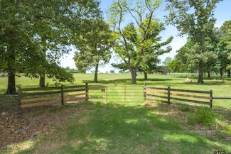 20+/- Acres Vz County Road 4412, Ben Wheeler, TX 75754