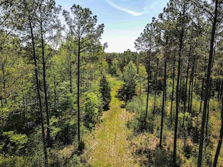 7900 Lagrange Rd, Somerville, TN 38068