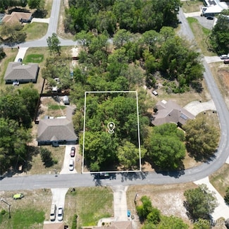 8100 N Hillview Cir, Citrus Springs, FL 34434