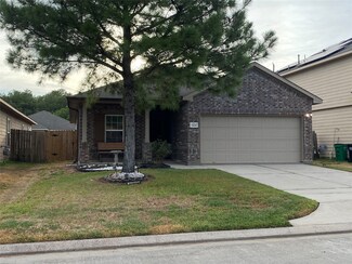17431 Hayley Springs Ct, Humble, TX 77396