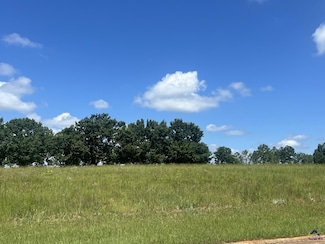 Lot 19 Camden Way, Hawkinsville, GA 31036