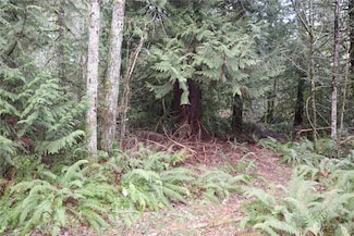 0 Lackey Rd NW, Vaughn, WA 98394