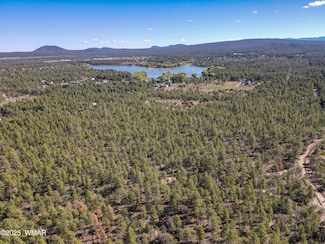 3350 W Rim Road Parcel #2, Lakeside, AZ 85929