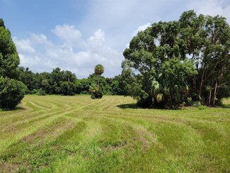 Lot #4 (SOA) NW 185th St, Reddick, FL 32686