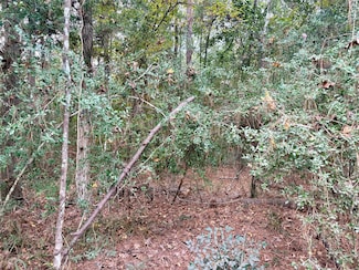 TBD Magnolia Duke Dr, Livingston, TX 77351