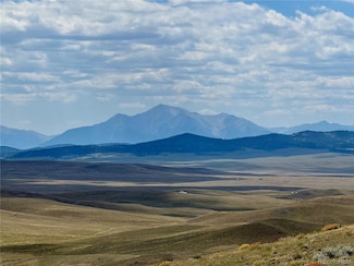 694 Black Beaver Cir, Hartsel, CO 80449