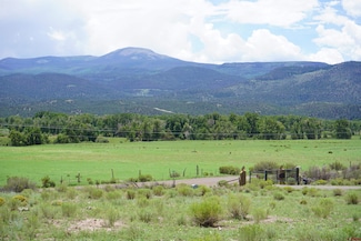 57 E Pfieffer Loop, South Fork, CO 81154