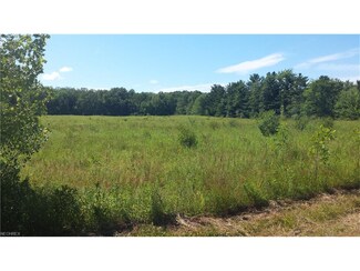 0 Clay St Unit 3897123, Montville, OH 44064