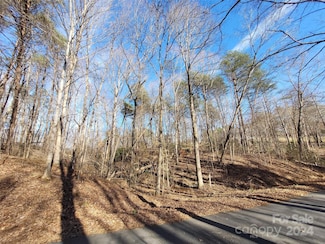 Lot 194 Plantation Dr Unit 1402092, Rutherfordton, NC 28139