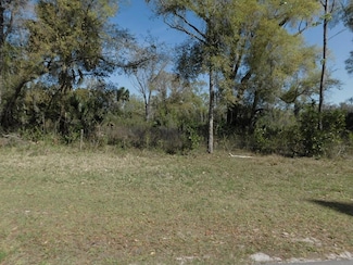 0 SW 14th Ave, Chiefland, FL 32626