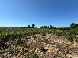000 County Road 1375 N, Cisne, IL 62823