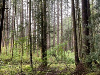0 Rixon Rd Unit 1936236, South Bend, WA 98586