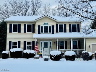 10366 Hanford Ln, Twinsburg, OH 44087