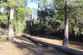 TBD Reca Dr, Vernon, FL 32462