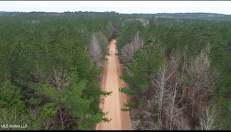 000 Mount Gilead Rd, McCall Creek, MS 39647