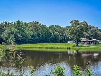 TBD Sage Dr, Diana, TX 75640