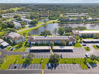 167 Lakeview Way, Oldsmar, FL 34677