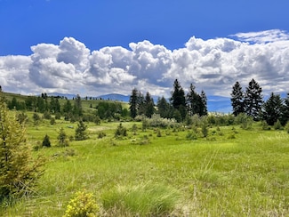 0 Tbd Big Goosmus Crk Rd, Curlew, WA 99118